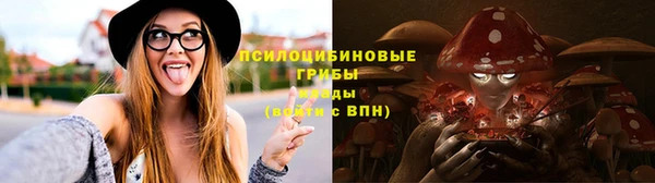 прущие крисы Алексеевка