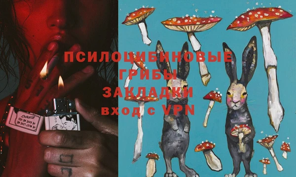 прущие крисы Алексеевка
