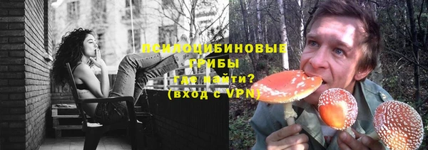 прущие крисы Алексеевка