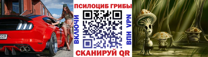 OMG ссылки  Санкт-Петербург  Псилоцибиновые грибы Psilocybe 
