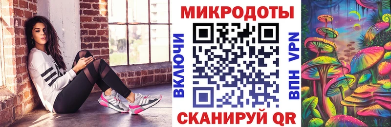 Псилоцибиновые грибы мицелий Санкт-Петербург