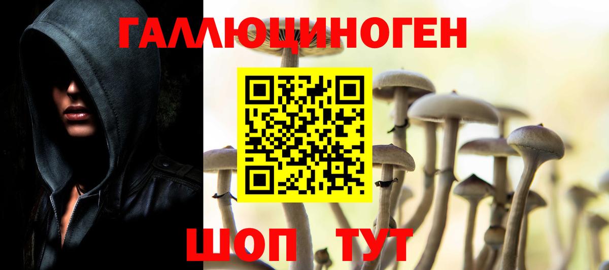 Псилоцибиновые грибы мухоморы Санкт-Петербург