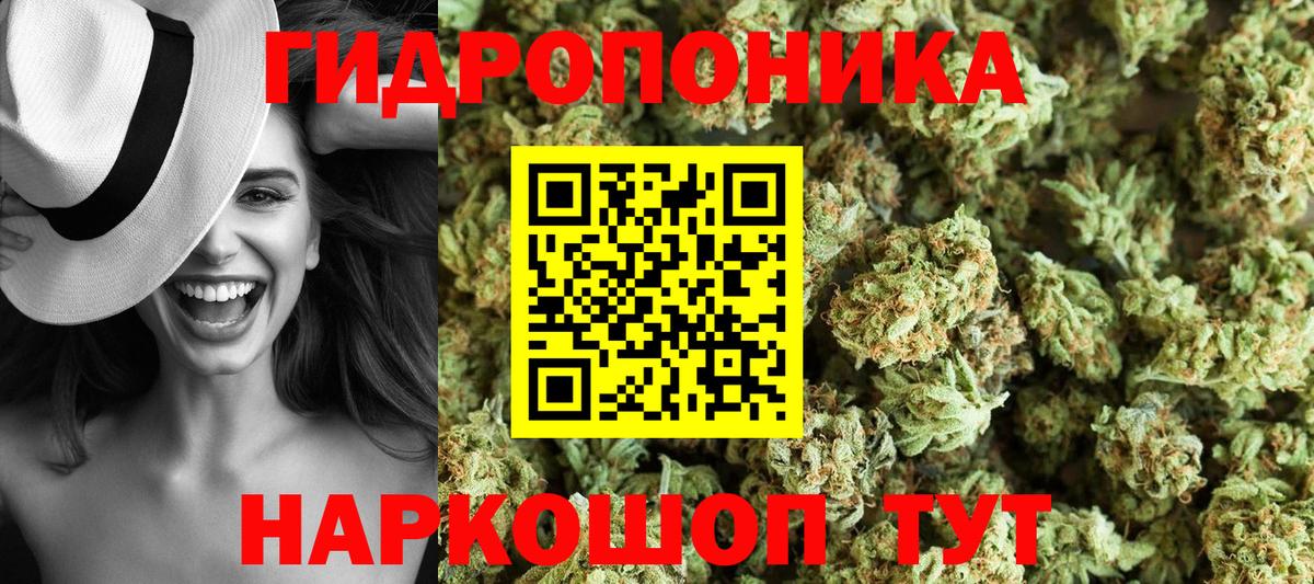 Конопля White Widow Санкт-Петербург